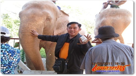 ช้างเผือก ทัวร์พม่า เที่ยวเมียนม่าร์